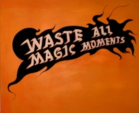 https://www.andreasleikauf.net:443/files/gimgs/th-22_waste all magic moments.jpg